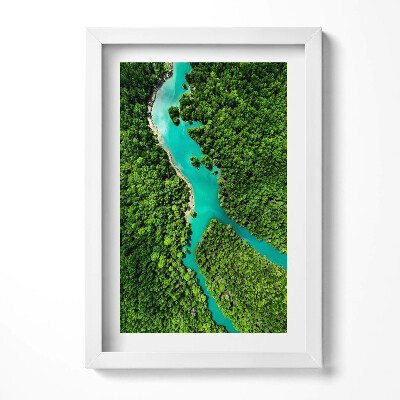 Obraz w ramie Rzeka w tropikalnych lasach z lotu ptaka