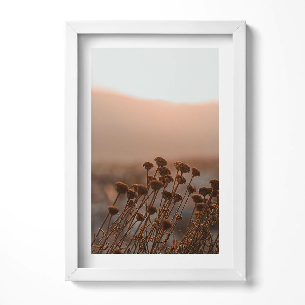 Obraz w ramie Boho romantyczny pejzaż traw