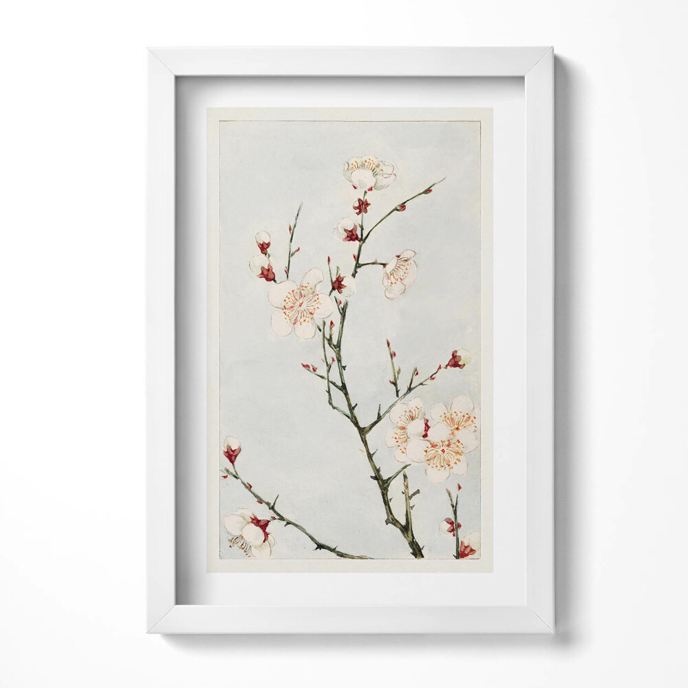 Obraz w ramie Minimalistyczna ilustracja gałęzi z kwiatami
