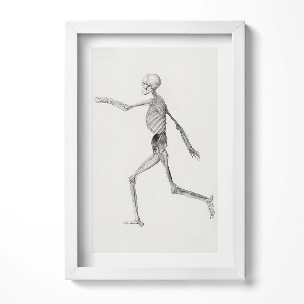 Obraz w ramie Rysunek kościotrupa