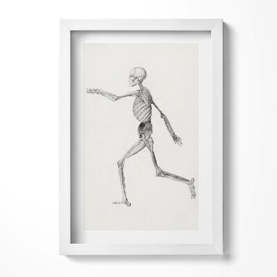 Obraz w ramie Rysunek kościotrupa
