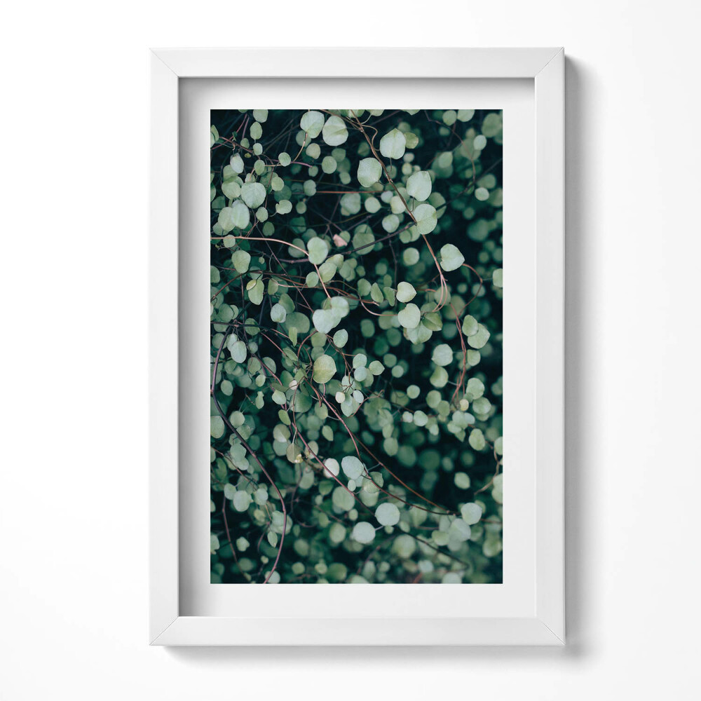 Obraz w ramie Droble listki rośliny