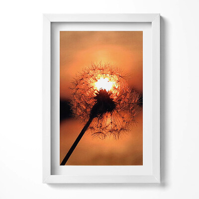 Obraz w ramie Dmuchawiec o zachodzi słońca