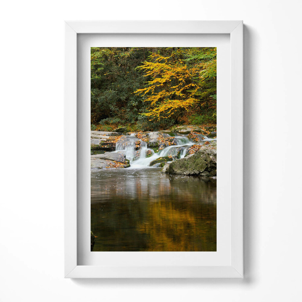 Obraz w ramie Zielony pejzaż leśnego strumyka