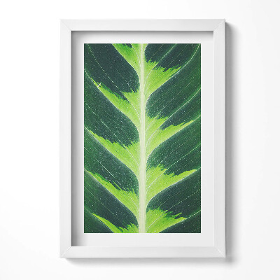 Obraz w ramie Faktura i żyłki liścia