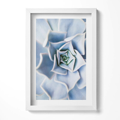 Obraz w ramie Roślina kwiat