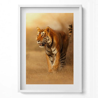 Obraz pionowy Dziki tygrys na polowaniu