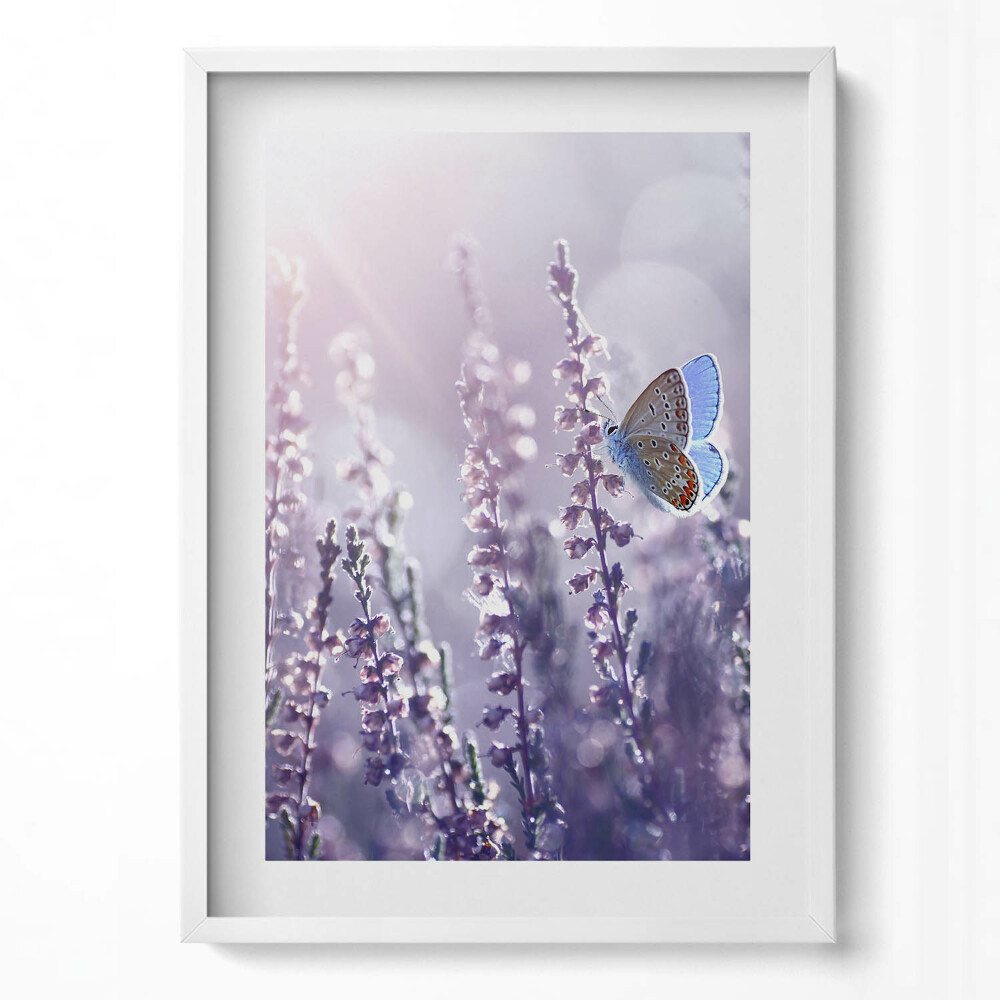 Obraz pionowy Motyl na polnych kwiatach