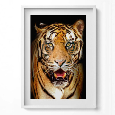 Obraz pionowy Wyrazisty dziki kot tygrys