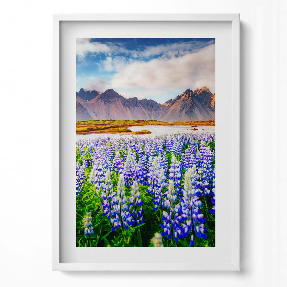 Obraz pionowy Magiczne kwiaty łubinu