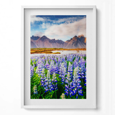 Obraz pionowy Magiczne kwiaty łubinu