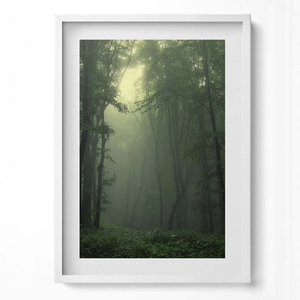 Obraz pionowy Mglisty las o poranku