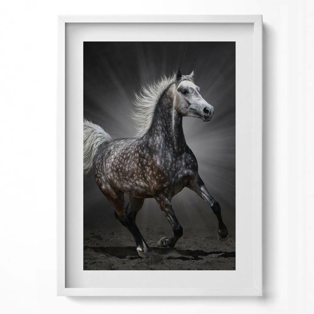 Obraz pionowy Galopujący koń