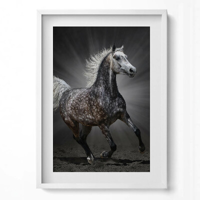 Obraz pionowy Galopujący koń