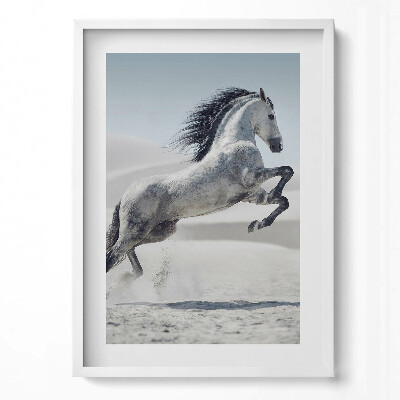 Obraz pionowy Galopujący biały koń