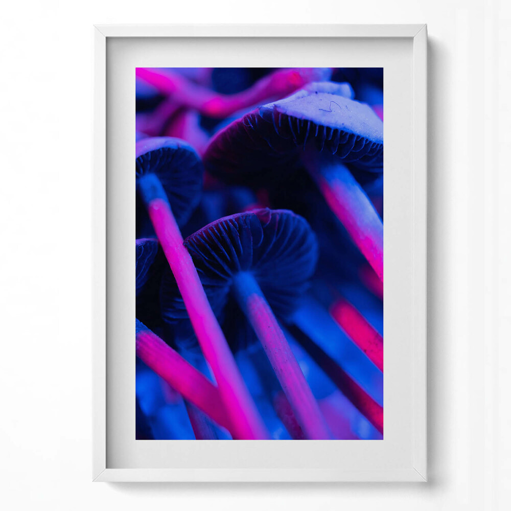 Obraz pionowy Magiczne kolorowe grzyby