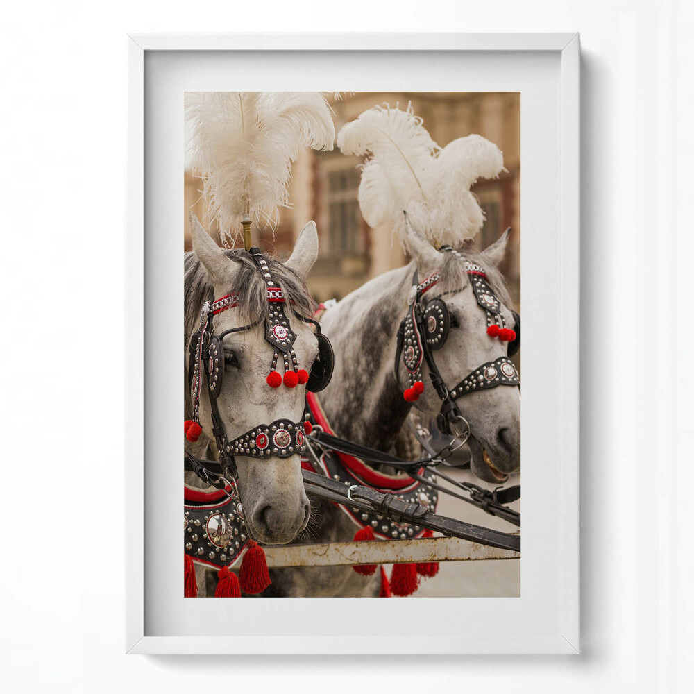 Obraz pionowy Piękne konie w Krakowie