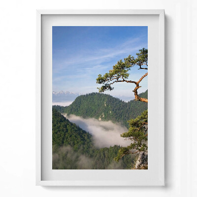 Obraz pionowy Sokolica Wierch w Pieninach