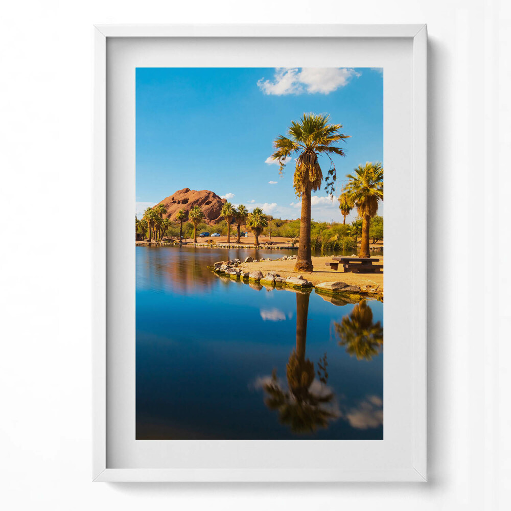 Obraz pionowy Sceneria parku Papago