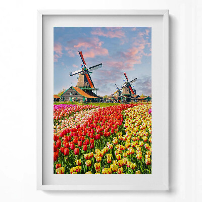 Obraz pionowy Krajobraz z tulipanami Holandia