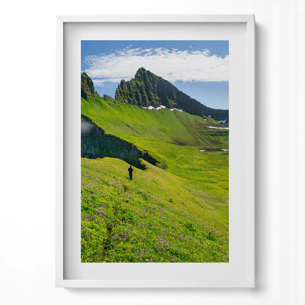 Obraz pionowy Rezerwat Hornstrandir Islandia