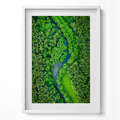 Obraz pionowy Rzeka w lesie