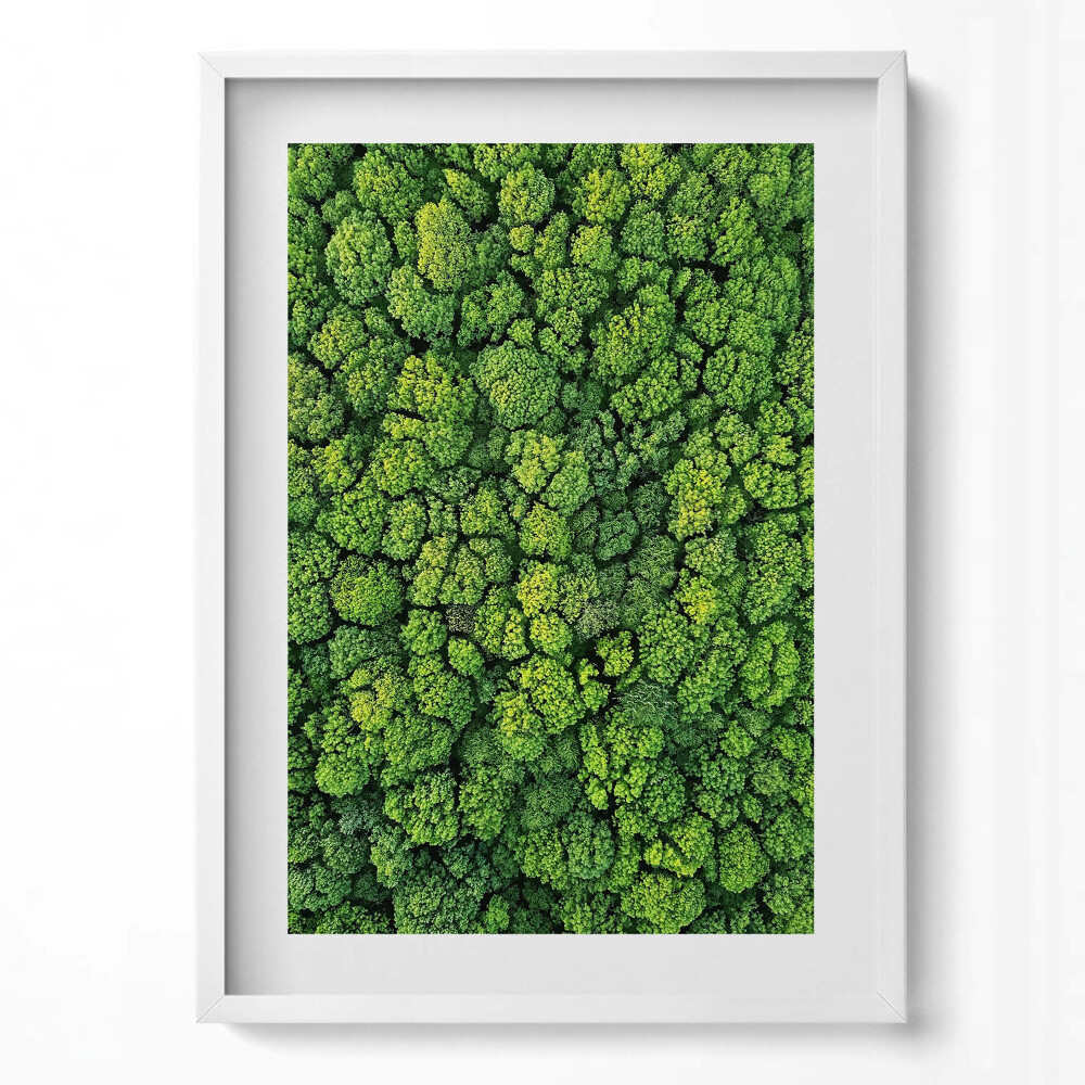 Obraz pionowy Las z lotu ptaka