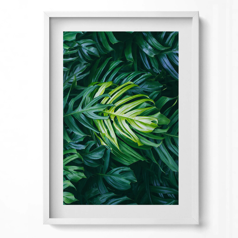 Obraz pionowy Dzikie liście monstery