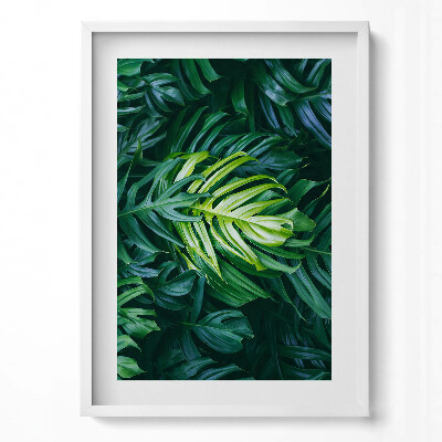 Obraz pionowy Dzikie liście monstery