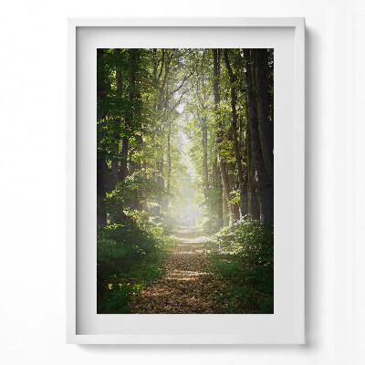 Obraz pionowy Leśna droga wśród drzew