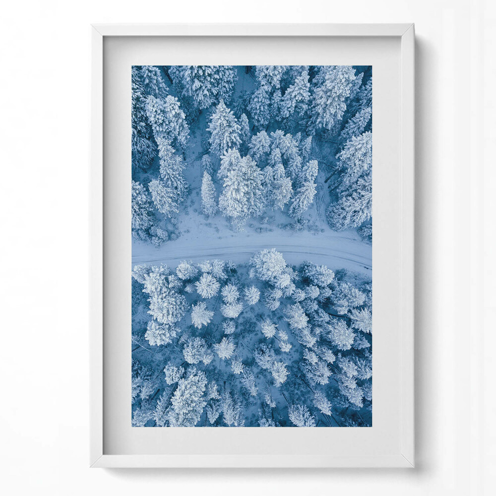 Obraz pionowy Las z lotu ptaka Dron