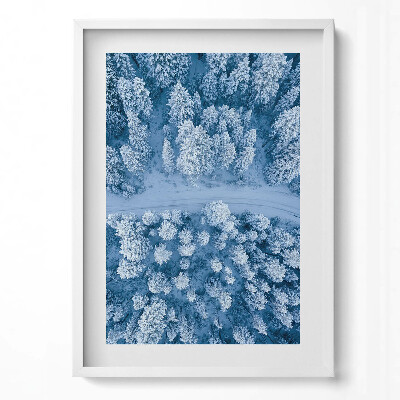 Obraz pionowy Las z lotu ptaka Dron