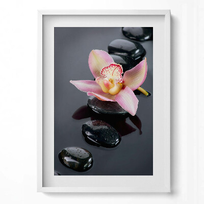 Obraz pionowy Kwiat na kamieniach w wodzie