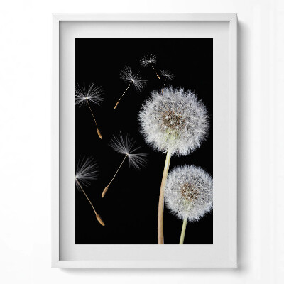 Obraz pionowy Dwa dmuchawce