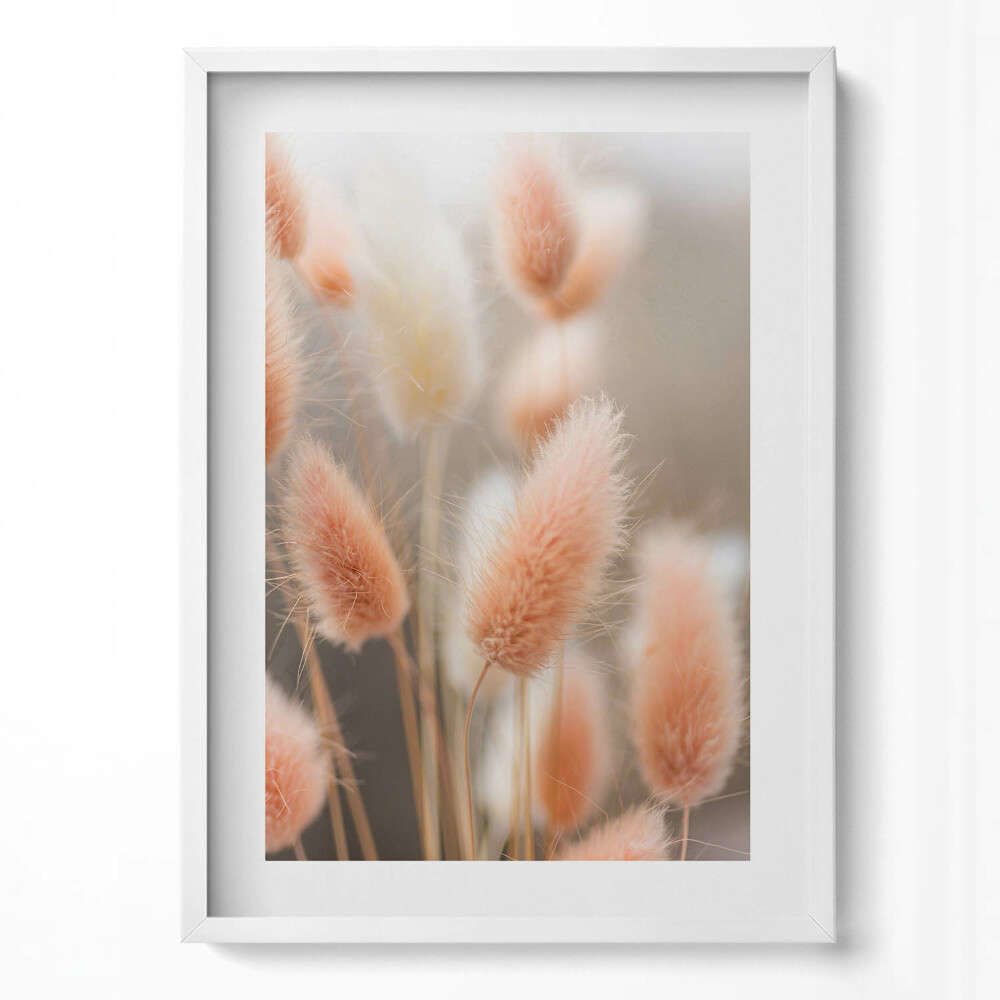 Obraz pionowy Delikatne puchate trawy boho