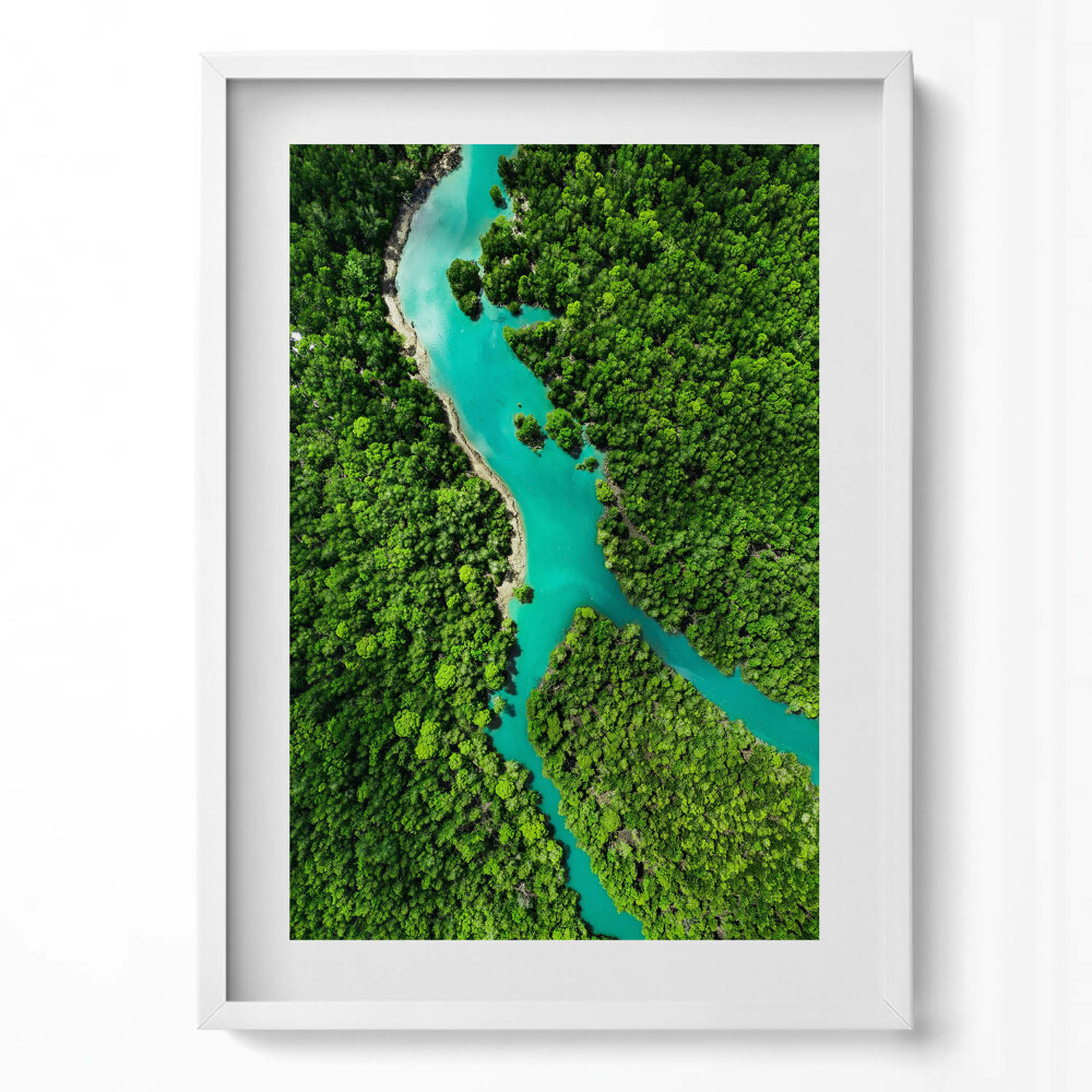 Obraz pionowy Rzeka w tropikalnych lasach z lotu ptaka