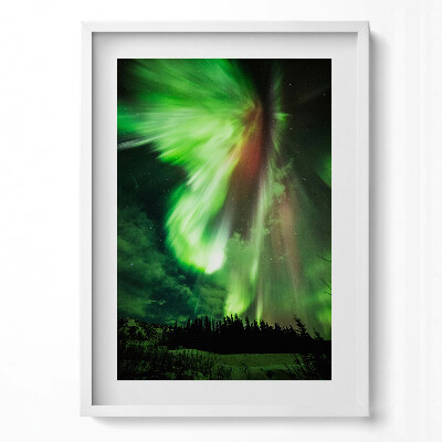 Obraz pionowy Zielona zorza polarna nad lasem