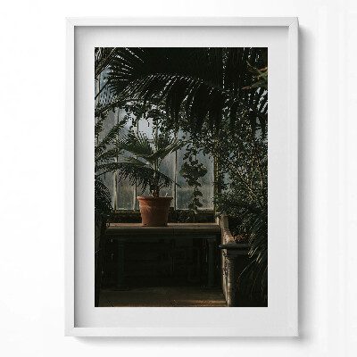 Obraz pionowy Vintage rośliny na oknie