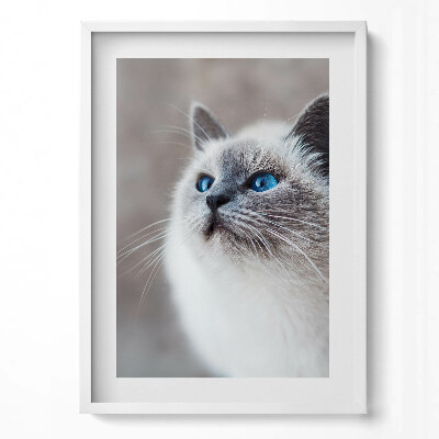 Obraz pionowy Spokojny pejzaż zimowego jeziora