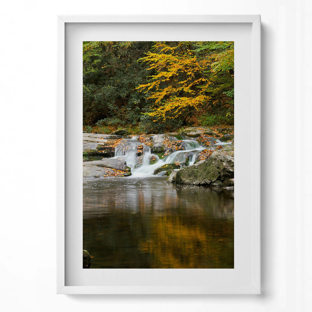 Obraz pionowy Zielony pejzaż leśnego strumyka