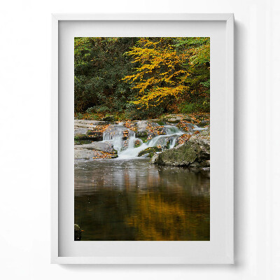 Obraz pionowy Zielony pejzaż leśnego strumyka