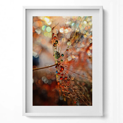 Obraz pionowy Dmuchawiec i rosa