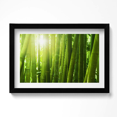 Obraz w ramie Zielone łodygi bambusa