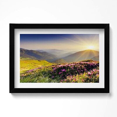 Obraz w ramie Góry i łąka kwiatów