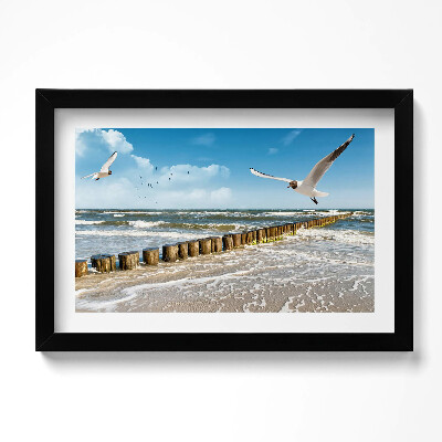 Obraz w ramie Ptak nad morzem