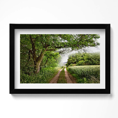 Obraz w ramie Ścieżka, drzewa i promienie słońca
