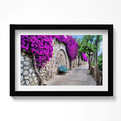 Obraz w ramie Droga z kwiatami na Capri we Włoszech