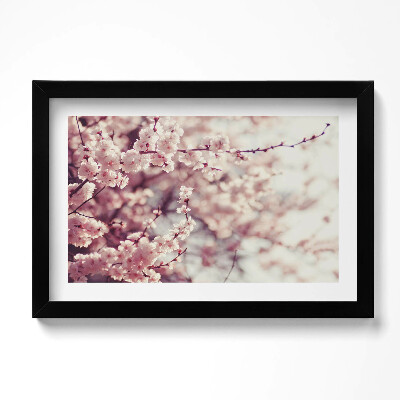 Obraz w ramie Kwitnienie wiosennych kwiatów