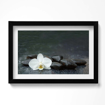 Obraz w ramie Biały kwiat kamienie Zen