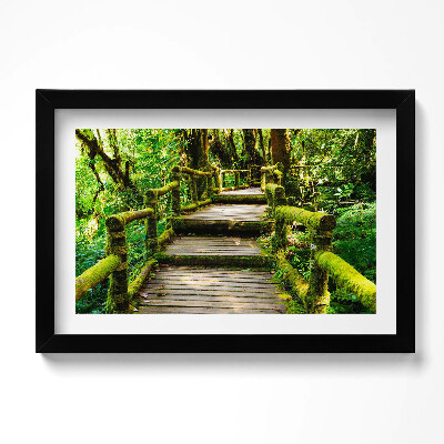 Obraz w ramie Drewniany chodnik - agroturystyka